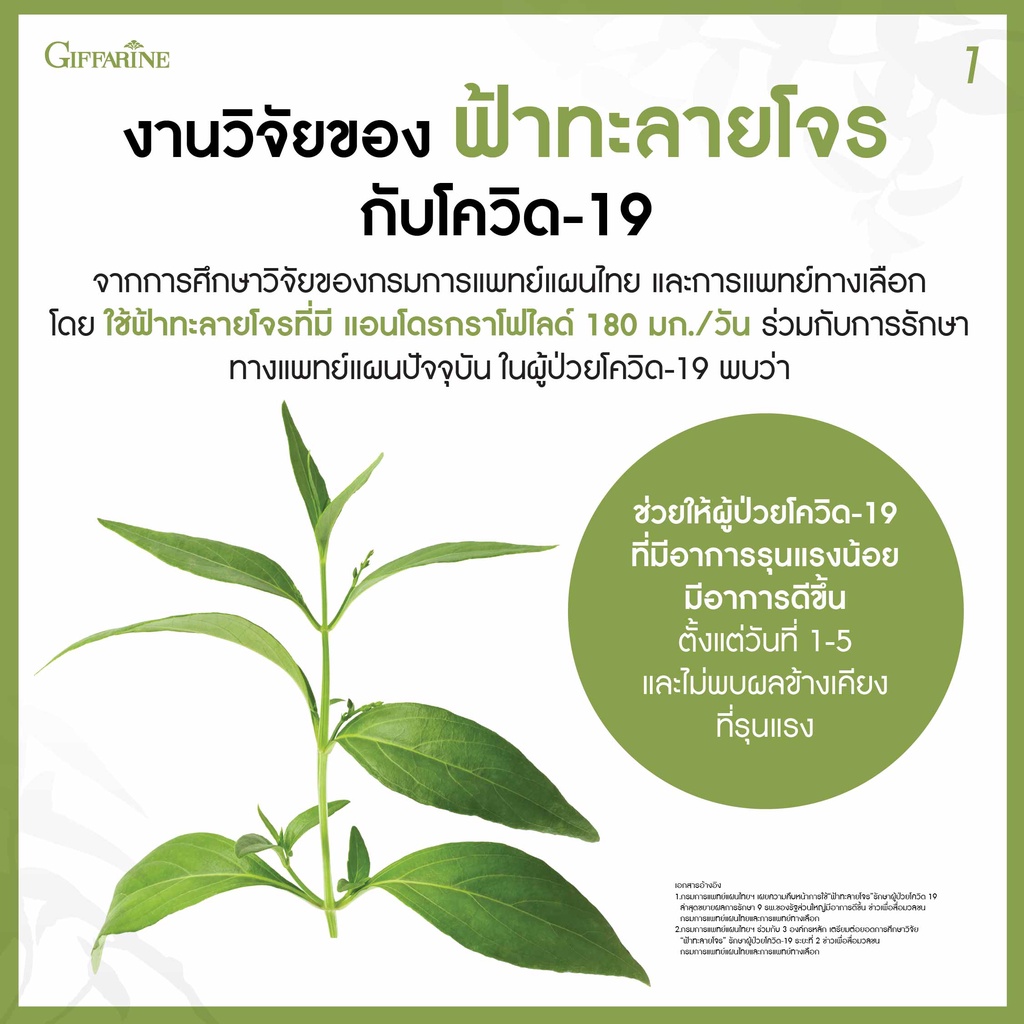 ฟ้าทะลายโจร-กิฟฟารีน-400-มิลลิกรัม-เลขทะเบียนที่-g207-43