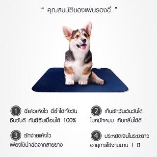 ภาพขนาดย่อของภาพหน้าปกสินค้าDog Owner แผ่นรองฉี่สุนัข แบบซักได้ นวัตกรรมใหม่ ซึมซับรวดเร็ว นำกลับมาใช้ใหม่ได้ จากร้าน jettpetshop บน Shopee