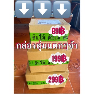 กล่องสุ่มแคคตัสราคาเริ่มต้นที่99บาท