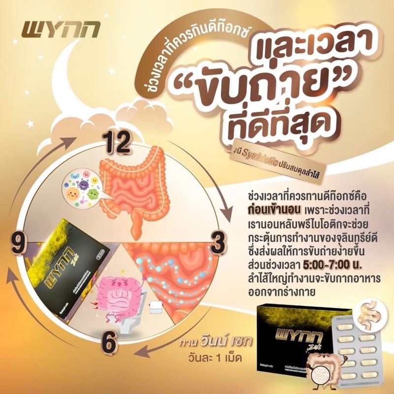 wynn-zet-วินน์เซ็ท-ดีท็อกซ์ลำไส้