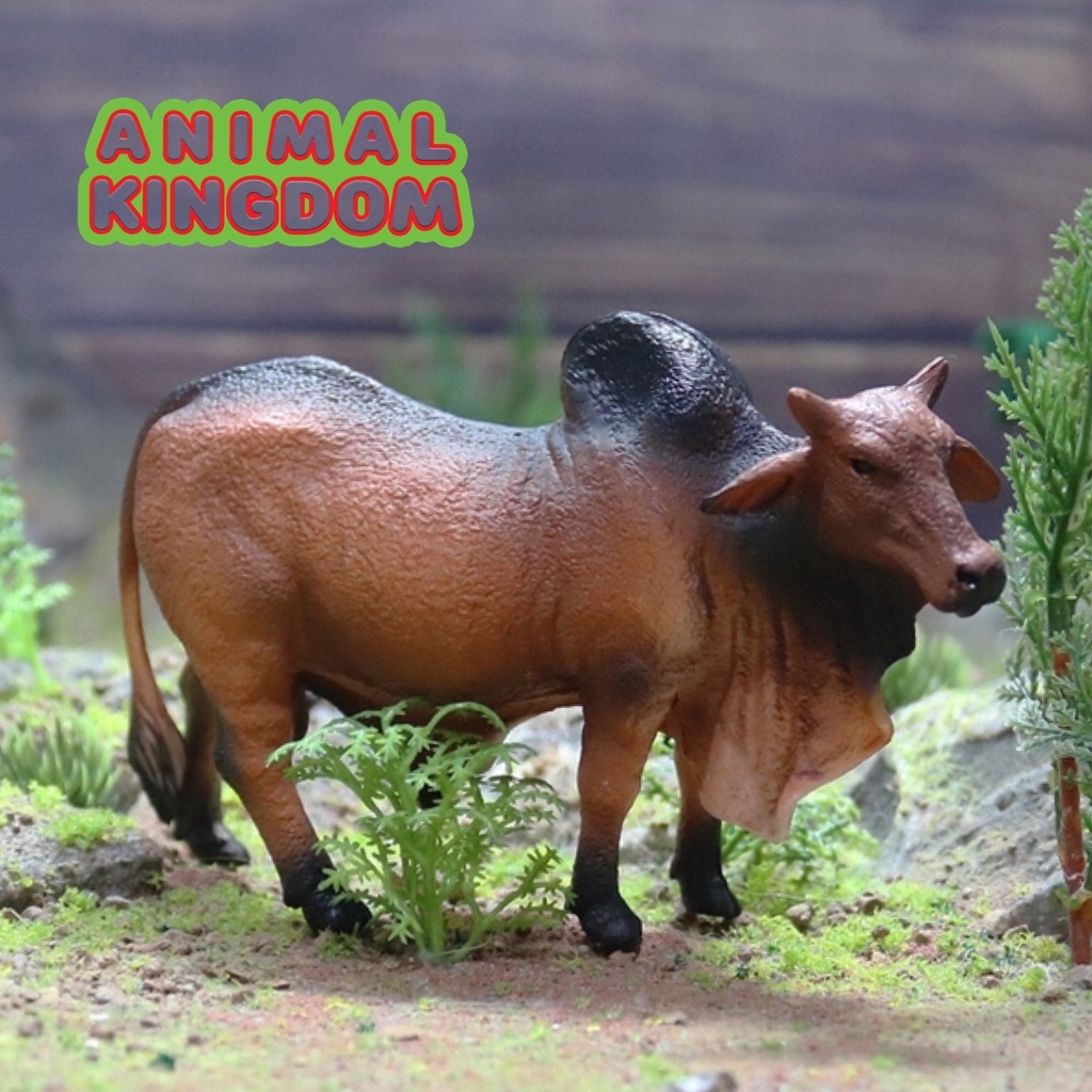 animal-kingdom-โมเดลสัตว์-วัวบราห์มัน-แดง-ขนาด-13-00-cm-จากหาดใหญ่