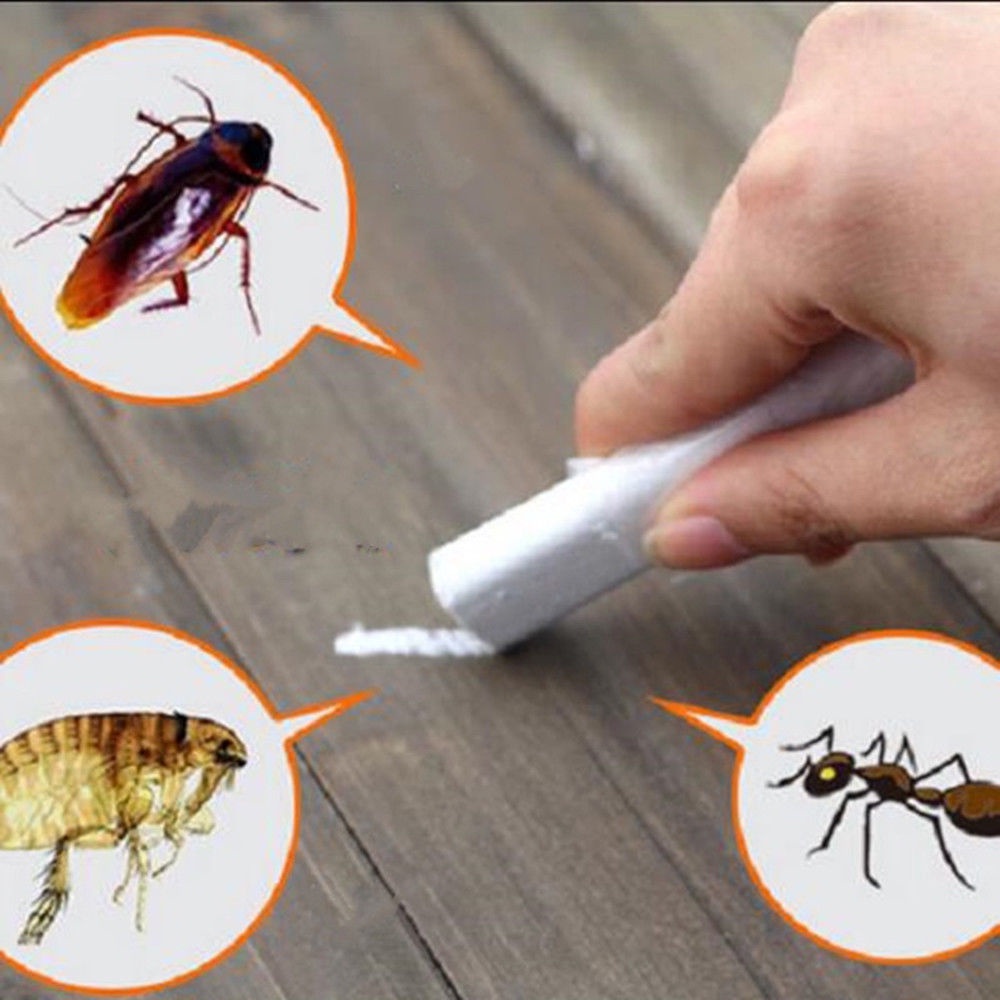ready-miraculous-cockroach-chalk-repellant-miraculous-chalk-killer-สำหรับฆ่าแมลงสาบแมลงสาบมดเหาหมัดบัก