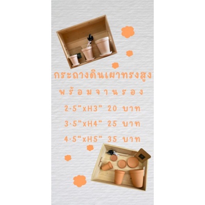 clearance-sale-กระถางดินเผา-ราคาเริ่มต้นเพียง-15-บาท-พร้อมจานรอง-ลดล้างสต๊อคกันไปเลย