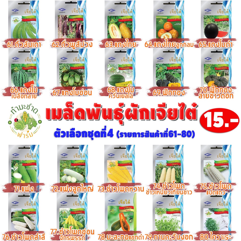 เมล็ดอวบอ้วน100-10แถม2-เจียไต๋-เมล็ดพันธุ์-คะน้าใบ-chinese-kale-large-leaf-ประมาณ-2-260-เมล็ดตราเจียไต๋-ตราเจียไต๋