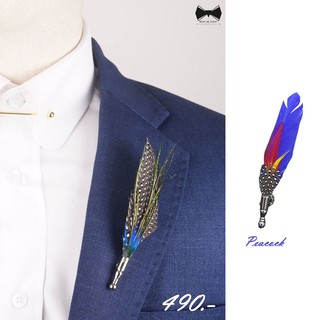 พิณติดสูทขนหางนกยูง - Peacock Feather Lapel Pin