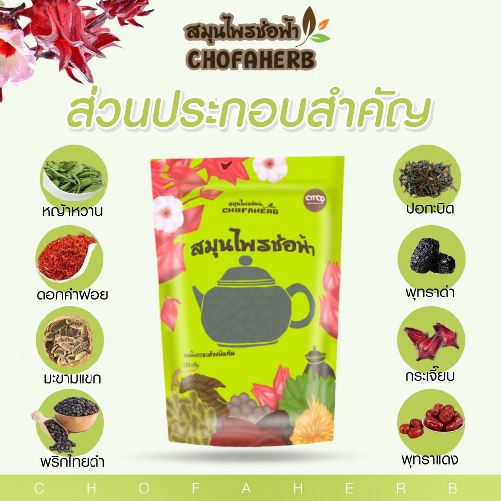 ภาพสินค้าโฉมใหม่ สมุนไพรช่อฟ้า ขนาด 120กรัม Chofaherb จากร้าน panlann บน Shopee ภาพที่ 3