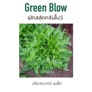 เมล็ดพันธุ์ ผักกาดหอม ผักสลัด กรีนโบว์  ( GREEN BLOW )