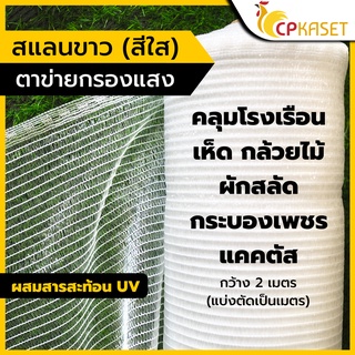 ภาพหน้าปกสินค้า[เกรดนำเข้า ของแท้ 💯] สแลนขาว สแลนสีใส คลุมโรงเรือน แคคตัส เห็ด กระบองเพชร ผักสลัด กว้าง 2เมตร ที่เกี่ยวข้อง