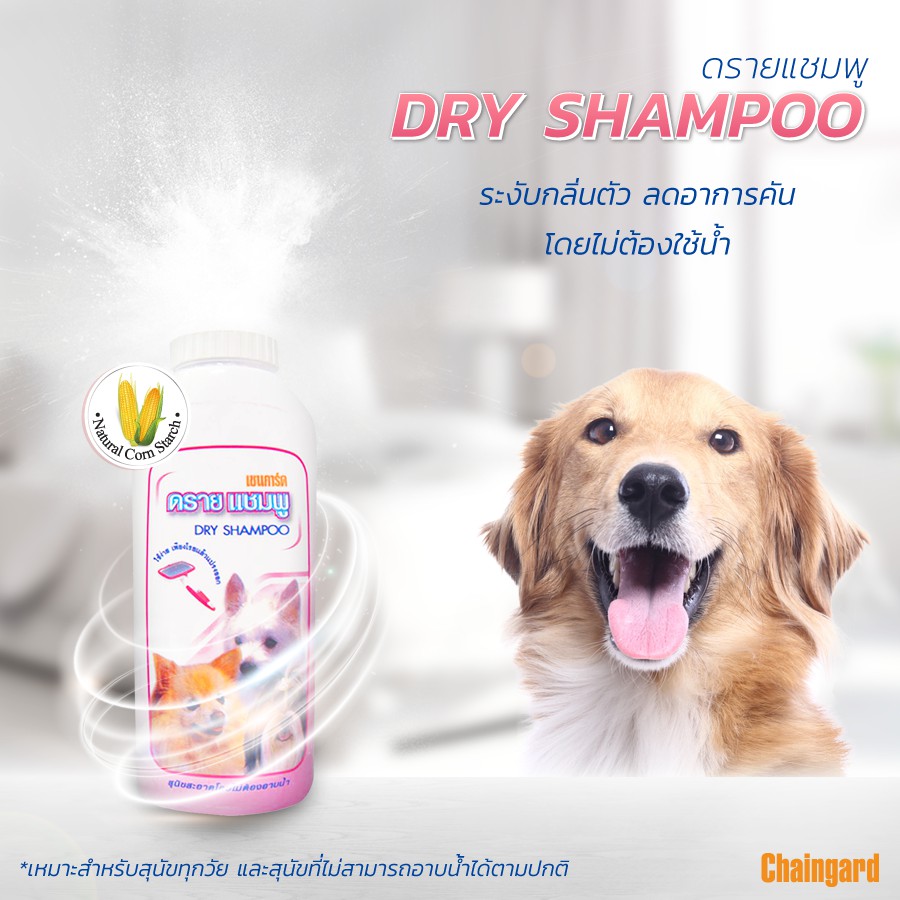 chaingard-dry-shampoo-เชนการ์ด-ดรายแชมพูสุนัข