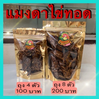 ภาพหน้าปกสินค้าแมงดาไข่ทอด แมลงทอดซู่ซ่า ทอดตามออเดอร์ สด ใหม่ ทุกวัน ที่เกี่ยวข้อง