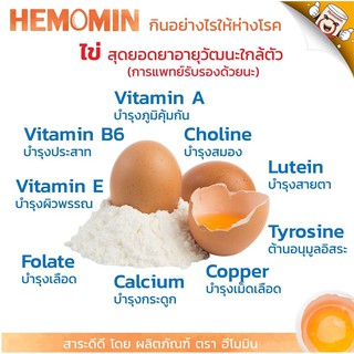 ภาพขนาดย่อของภาพหน้าปกสินค้าราคาพิเศษ HEMOMIN ไข่ขาวผง รส Natural 400g. โปรตีนไข่ขาวชนิดผง ฮีโมมิน รสธรรมชาติ 365wecare จากร้าน wecare1 บน Shopee ภาพที่ 2