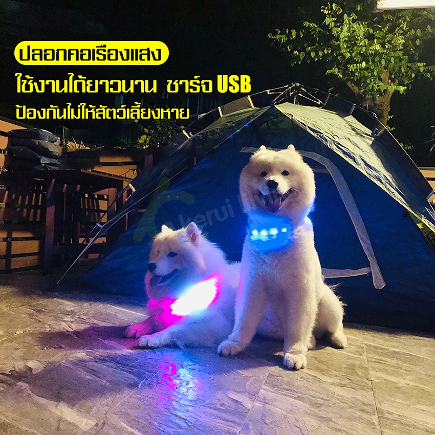 ปลอกคอเรืองแสง-glow-collar-ปลอกคอสัตว์เลี้ยงเรืองแสง-ปลอกคอสุนัข-มีไฟ-led-เรืองแสง-ปลอกคอ-ชาร์จ-usb-ปลอกคอแมว