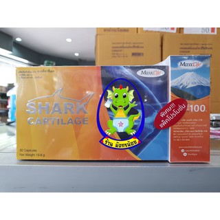 ภาพหน้าปกสินค้าSHARK CARTILAGE ของ MaxxLife กล่อง 30 แคปซูล ( 1 กล่องหรือแพ็คคู่ ) ลดการเสียดสีระหว่างข้อ ลดการอักเสบของข้อต่อ ที่เกี่ยวข้อง