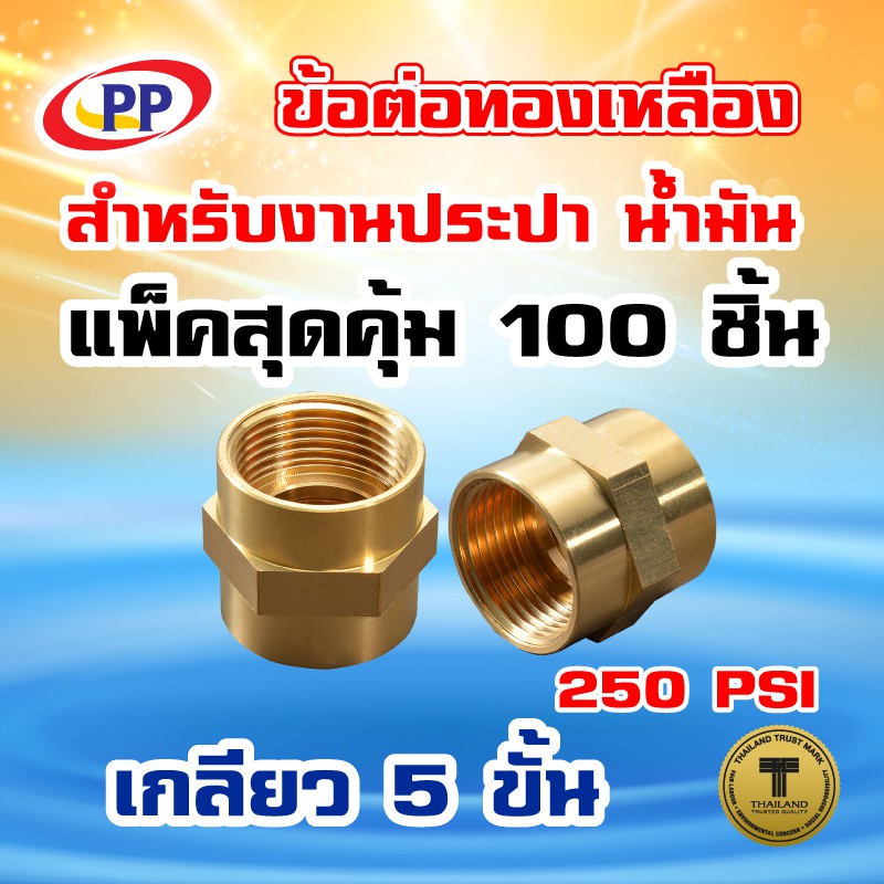 ข้อต่อทองเหลือง-ข้อต่อตรง-pp-พีพี-ม-ม-lt-เกลียวใน-เกลียวใน-gt-ขนาด-3-4-6หุน-แพ็ค-100-ชิ้น-ประปา-น้ำมัน