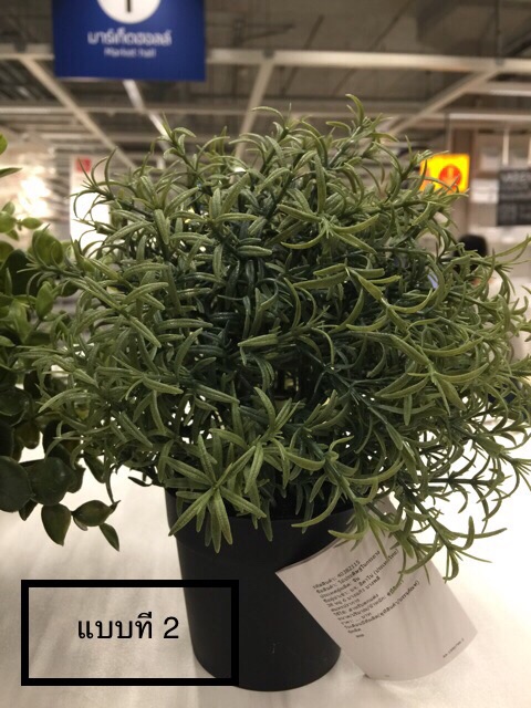 ภาพสินค้าFejka ต้นไม้ประดิษฐ์มีให้เลือก 4 แบบ สูง 22 cm. IKEA จากร้าน ruji78 บน Shopee ภาพที่ 3