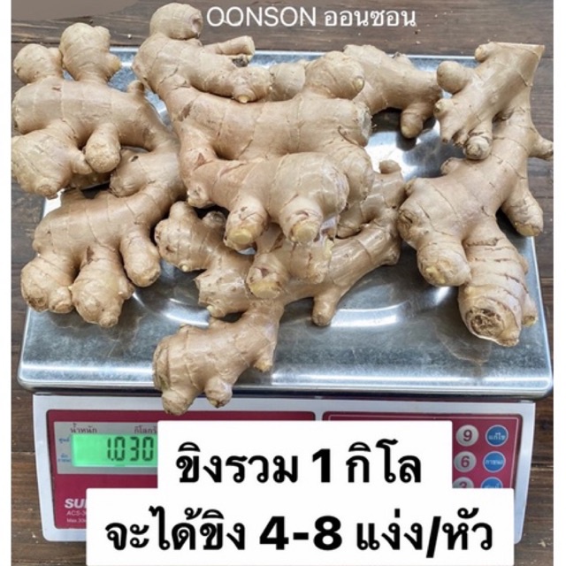 ภาพหน้าปกสินค้าขิงแก่ ขิงไทย 1kg. จากเขาค้อ ไร้สารเคมีตกค้าง เกรดส่งออก จากร้าน oonson_shop บน Shopee