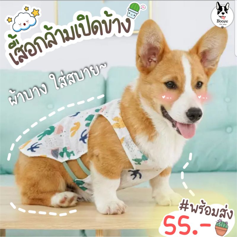 ราคาและรีวิวร้านไทย ️ เสื้อหมา เสื้อแมว ผ้าบาง เปิดข้าง ใส่สบายไม่ร้อน เหมาะกับหน้าร้อนมากๆ