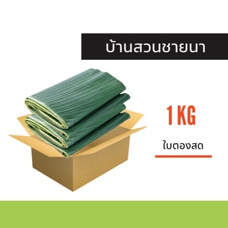 ภาพขนาดย่อของสินค้าใบตองสด ใบกล้วยน้ำว้า 1 กิโล จากสวนปลอดสารพิษ ใช้ห่อขนม ทำกระทง