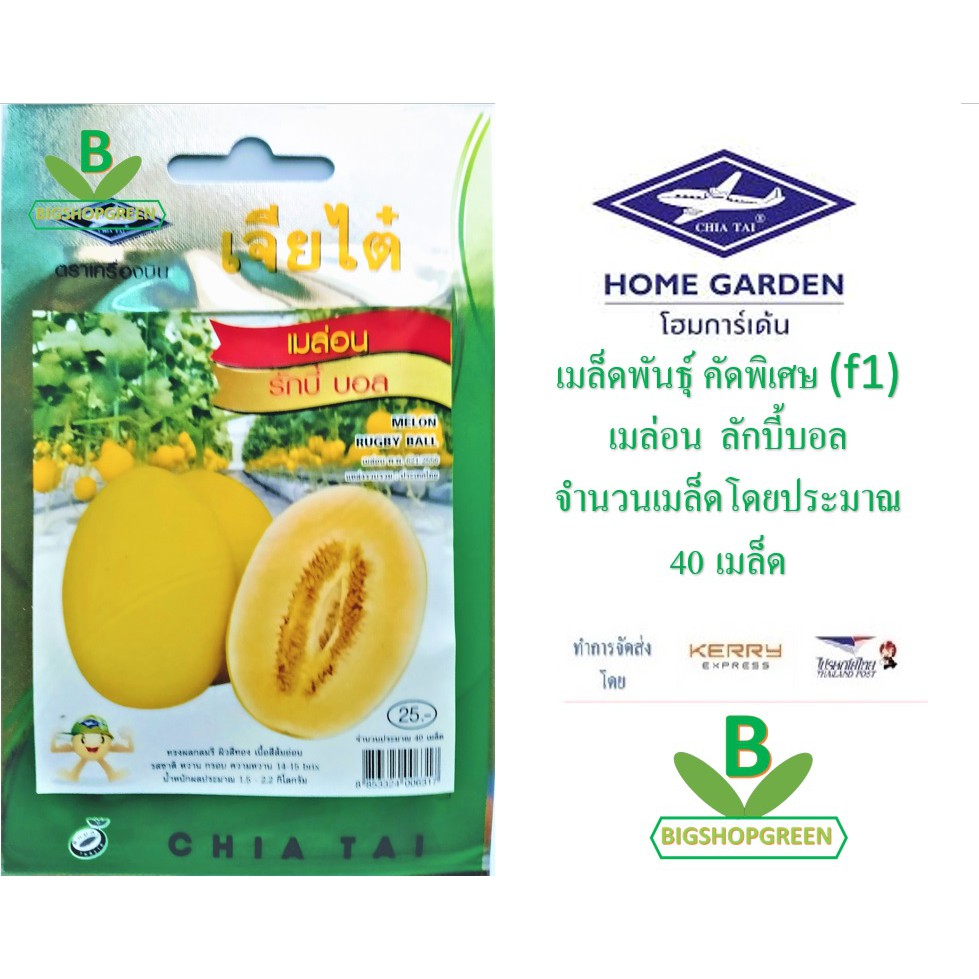 5-ฟรี-1-คละได้-เมล็ดพ้นธุ์-เมล่อน-รักบี้บอล-ตรา-เจียไต๋-เมล็ดพันธุ์ชนิดพิเศษ-f1-เมล็ดพันธุ์ผัก-เมล็ดผัก-เมล็ดพันธุ์พืช