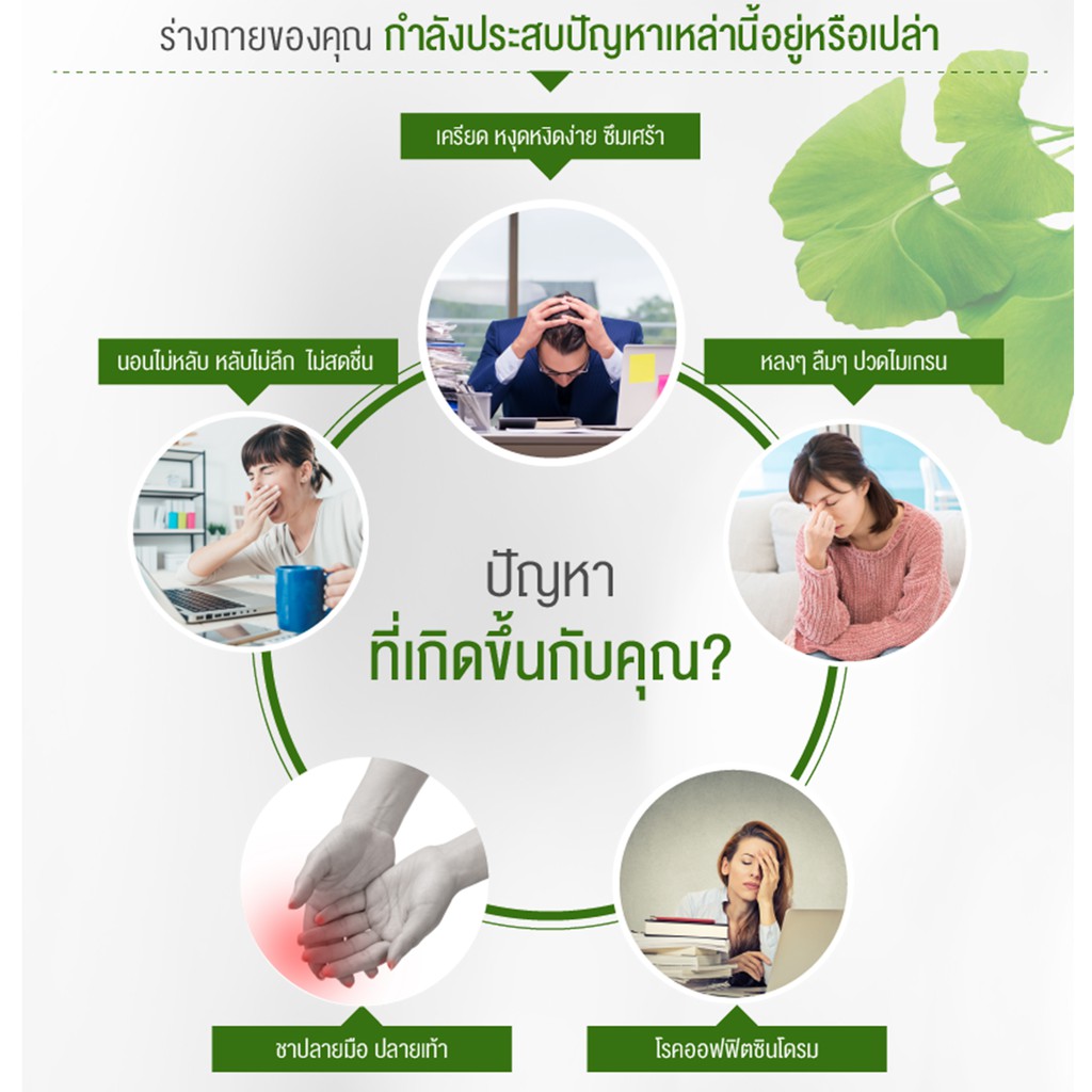 ภาพสินค้าCloverPlus Multi B Plus Ginkgo บำรุงสมองและเพิ่มความจำ ลดอาการปวดไมเกรน มีสารสกัดจากใบแปะก๊วย (7แคปซูล) จากร้าน npplus บน Shopee ภาพที่ 3