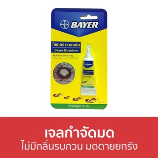 🔥แพ็ค6🔥 เจลกำจัดมด Bayer ไม่มีกลิ่นรบกวน มดตายยกรัง Quantum - กําจัดมด ยากําจัดมด กําจัดมดตายยกรัง เหยื่อกำจัดมด