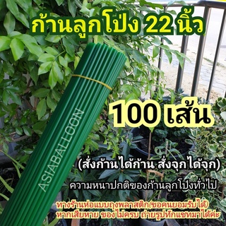 ภาพหน้าปกสินค้า100 เส้น เขียวเข้ม ก้านลูกโป่ง 22 นิ้ว ความหนาปกติเหมือนก้านลูกโป่งทั่วไป ซึ่งคุณอาจชอบราคาและรีวิวของสินค้านี้