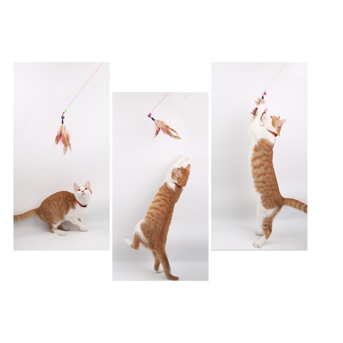ภาพสินค้าไม้ตกแมว ไม้แมว ยาวสุด ไม้ล่อแมว ยาว90ซม. ของเล่นแมว จากร้าน ttch.mjp บน Shopee ภาพที่ 8