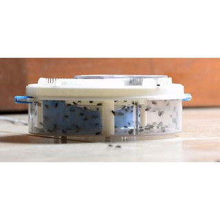 ELECTRIC FLYTRAP เครื่องดักแมลงวัน/แมลง อัตโนมัติ ไม่ต้องใช้กาว ไม่เป็นพิษภัย ดักแมลงได้จริง ใช้ไฟบ้าน เสียงเบา