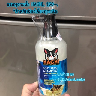 ภาพหน้าปกสินค้าแชมพู อาบน้ำ hachi..!!แชมพูอาบน้ำ ชูก้า กระรอก ลิง ที่เกี่ยวข้อง