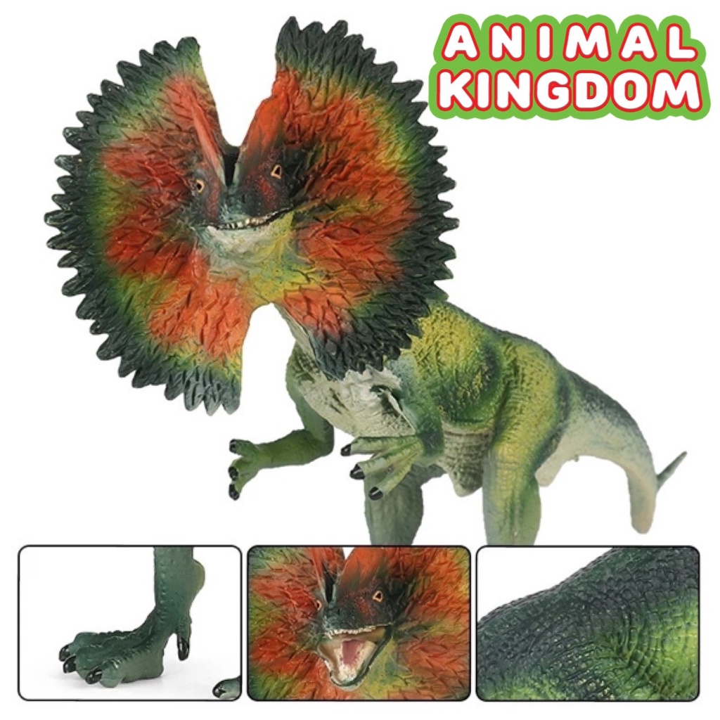 animal-kingdom-โมเดลไดโนเสาร์-dilophosaurus-เขียว-ขนาด-19-00-cm-จากหาดใหญ่