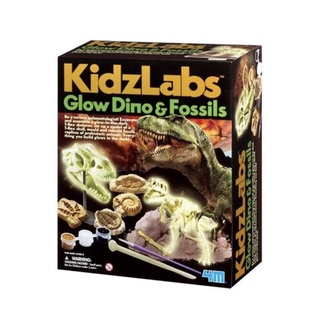 ชุดของเล่น 4M Kidz Labs Glow Dino & Fossils