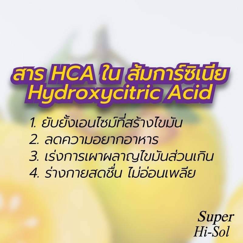 gs-hi-sol-amp-goldshape-set-โปรแกรมเร่งเผาผลาญ-ลดไขมันส่วนเกิน-สูตร-super-hi-sol-ส้มการ์ซีเนีย-อาหารเสริมควบคุมน้ำหนัก