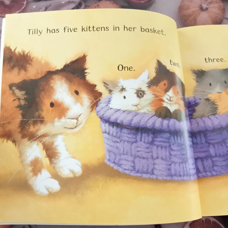หนังสือปกอ่อน-catch-that-kitten-มือสอง