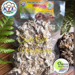 ภาพหน้าปกสินค้าเห็ดแครงแห้ง Dried Split gill mushroomแพ็คถุงสูญ ที่เกี่ยวข้อง