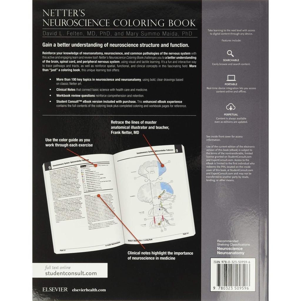 [Querida] สมุดระบายสี Netter's Neuroscience Coloring Book (1st CLR CSM ...