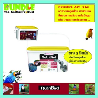 สินค้า NutriBird A19 3 Kg. อาหารนกลูกป้อน  อาหารลูกป้อน สำหรับลูกนกที่ต้องการพลังงานไขมันสูง ขนาด 3 กิโลกรัม