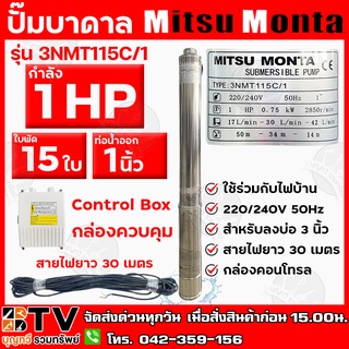 Mitsu Monta ปั๊มบาดาล 1 HP 15ใบพัด ท่อน้ำ 1 นิ้ว ใช้ร่วมกับไฟบ้าน สายไฟยาว 30 เมตร รุ่น 3NMT115C/1 สำหรับลงบ่อ 3 นิ้ว