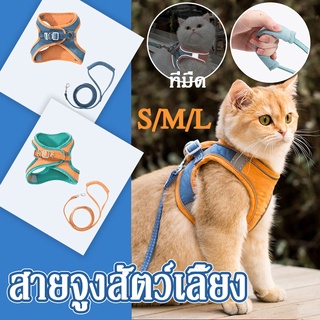 【พร้อมส่ง】สายจูงสัตว์เลี้ยง สายจูง สายรัดอกสุนัข ผ้าระบายอากาศ สายจูงสุนัข สายจูงแมว Colorful Reflective ปลอกคอแมว S/M/L