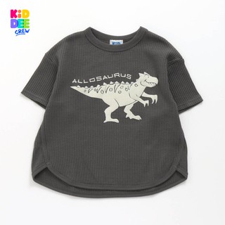 ภาพหน้าปกสินค้าKiddeeCrew เสื้อแขนสั้นสีดำลายไดโนเสาร์ dinosaur ิblack shirt เป็นผ้าวาฟเฟิล เหมาะสำหรับอายุ 1-14 ปี ที่เกี่ยวข้อง