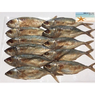 ปลาทูหอม-น้ำตาล 🐟 แม่กลอง แพ็คละ 11 ตัว 100 บาท