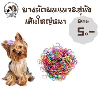 ภาพหน้าปกสินค้า🐶ยางมัดผมเกาหลีสุนัข เส้นหนาคละสี 🐶ราคาซองละ5 บาทมีชำระปลายทางจำนวน 20-25 ชิ้น ค่าจัดส่ง22 บาท ซึ่งคุณอาจชอบราคาและรีวิวของสินค้านี้