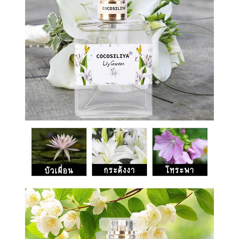สินค้าใหม่-cocosiliya-กลิ่นดอกไม้-หอมละมุน-พร้อมส่ง-ติดทนนาน-50-ml-ใช้ได้นาน