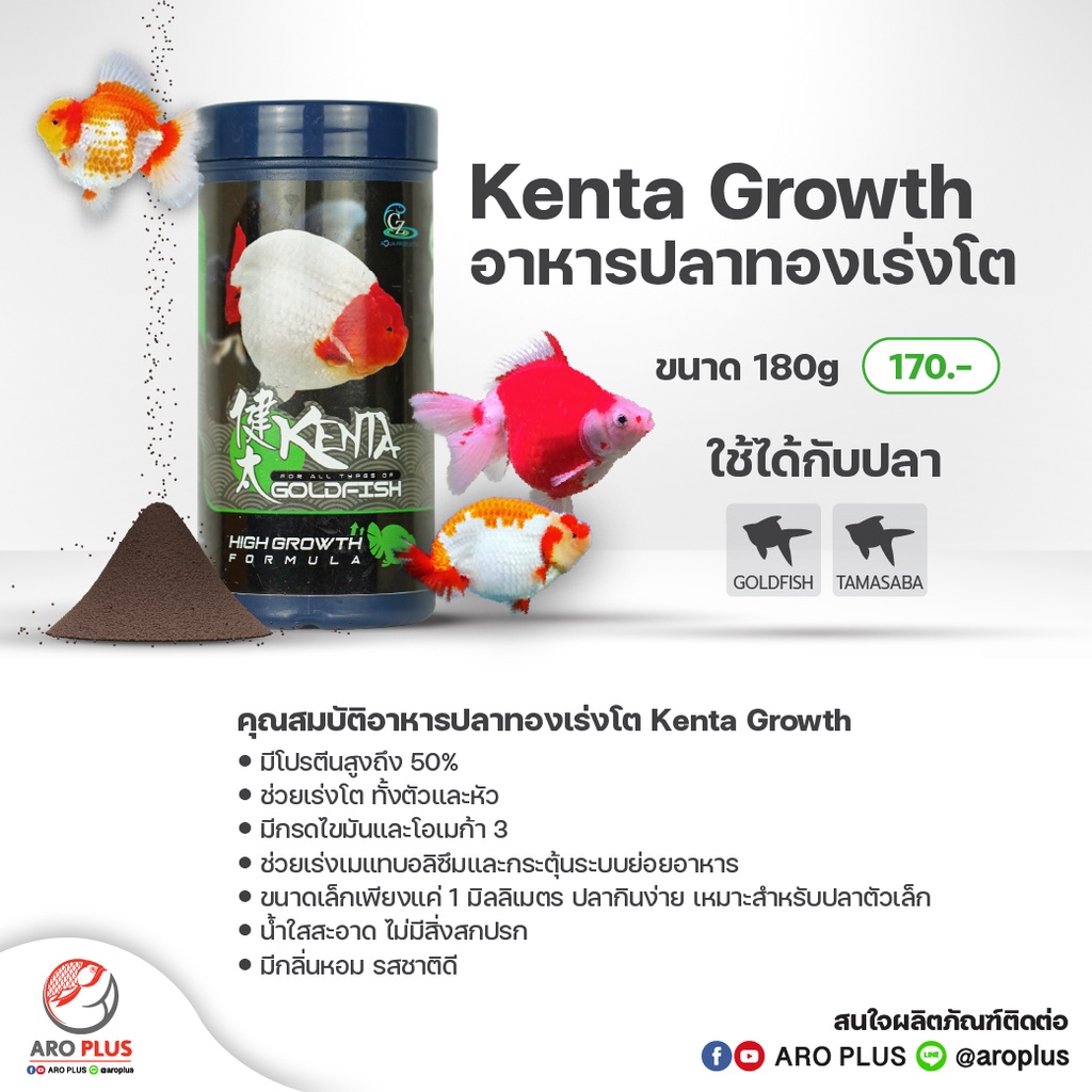 อาหารปลาทอง-kenta-growth-สูตรเร่งโต