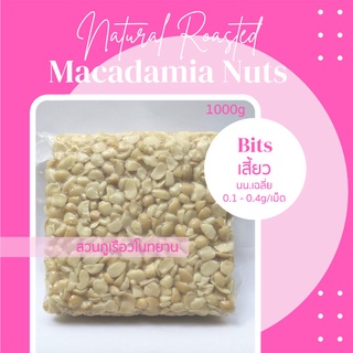 แมคคาเดเมีย อบพร้อมทาน เสี้ยว Macadamia nuts