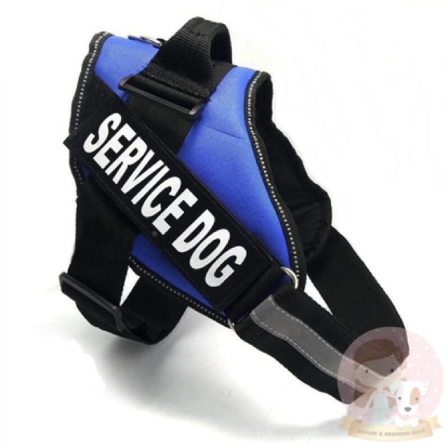 อานใส่หลังรุ่น-service-dog-k-9