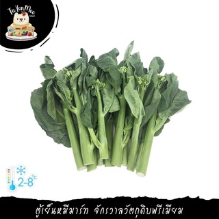 ภาพขนาดย่อของภาพหน้าปกสินค้า250G-1KG/PACK คะน้าฮ่องกง คัดเกรด CHINESE KALE (F) จากร้าน tuyenmeemart บน Shopee