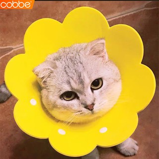 Cobbe คอลล่าแมว ปลอกคอกันเลีย  คอลล่ากันเลีย คอลล่าดอกไม้ ปลอกคอ ลำโพงกันเลีย น้ำหนักเบา กันเลียแมว