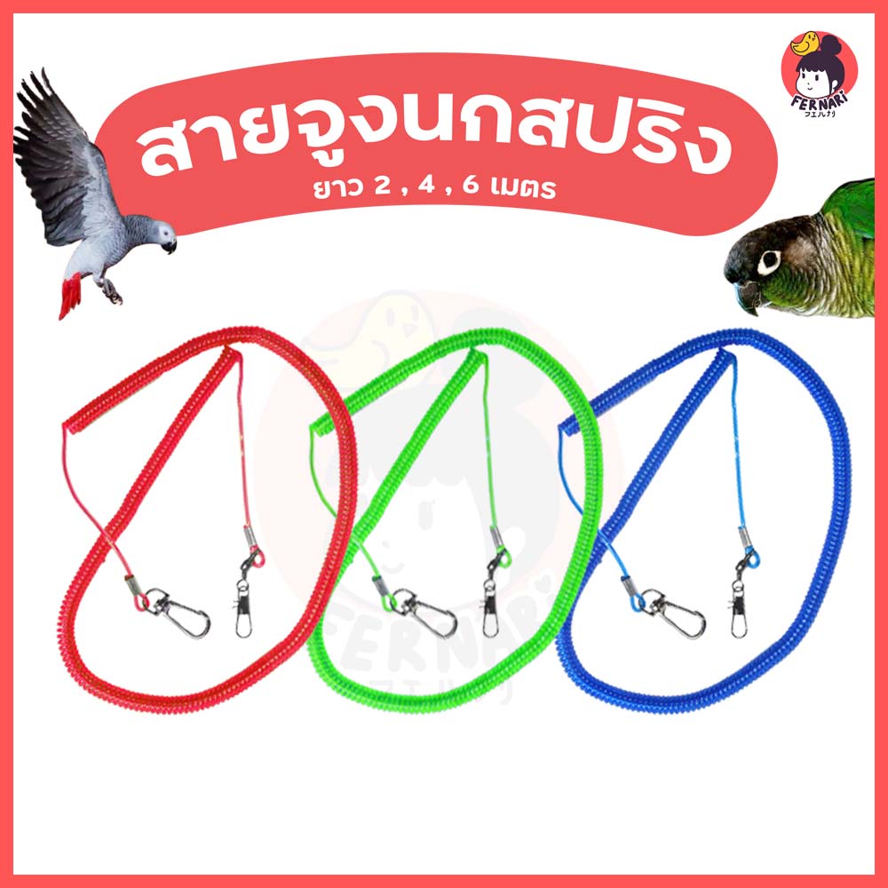 สายคล้องขานก-ป้องกันนกหลุด-ฝึกนกบิน-สายจูง-สายจูงนก-เล็ก-สัตว์-ขานก-นกบิน-นก-กรงนก