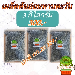 🔥ขายดีที่สุดอันดับ 1🔥 แพ๊ค 3 กก. เมล็ดต้นอ่อนทานตะวัน ลายไทย สำหรับเพาะต้นอ่อน อัตราการงอก99%