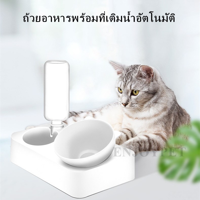 ชามอาหารสัตว์เลี้ยง-feeding-bubble-bowl-2in1-เติมน้ำหัวระบายอัตโนมัติ-ชามอาหารแมว-ชามอาหารหมา